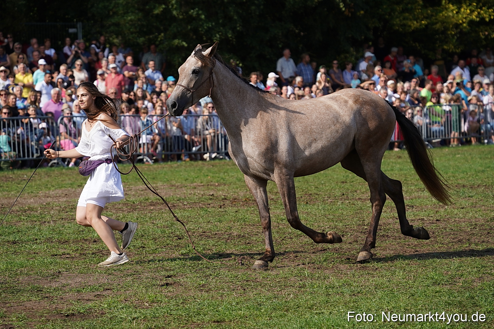 Pferde und Fohlenschau 2022 0150 